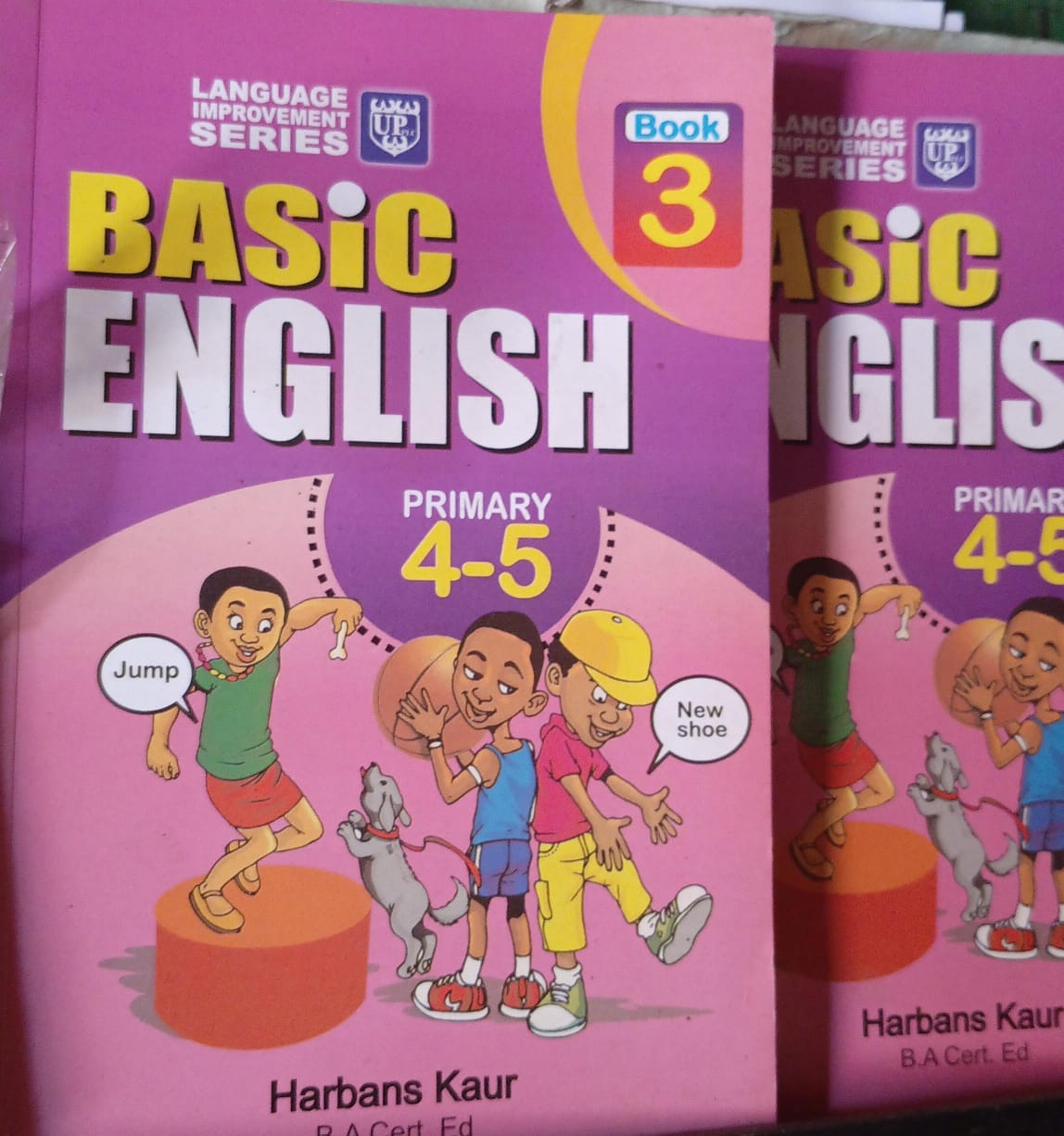 Basic English Book